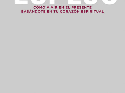 Puliendo el espejo - Ram Dass - RUSTICA