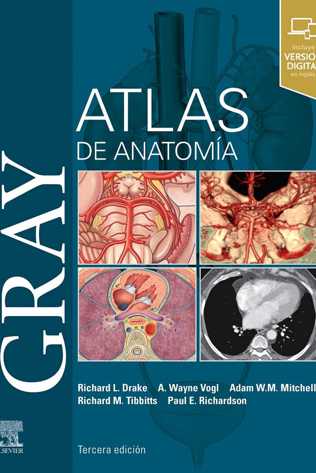 Gray. Atlas De Anatomía (3ª Ed.)