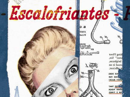 Libro Relatos Escalofriantes De Roald Dahl: El indiscutible talento de uno de los escritores más ágiles y originales apa