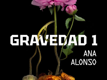 Gravedad 1