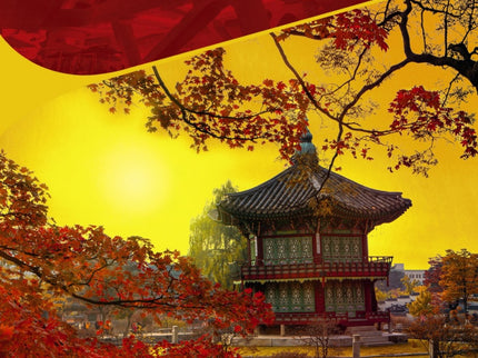 Libro Seúl Y Corea Del Sur: En apenas un par de décadas, Seúl se ha convertido en una de las metrópolis más importantes del planeta. La capital de Corea del Sur sorprende por su capacidad para aunar la tradición milenaria de su época imperial con la tecnificación más puntera y vanguardista.