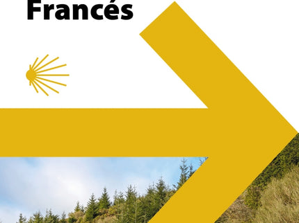 49 Mapas Para Realizar El Camino De Santiago. Camino Francés (desplegables)