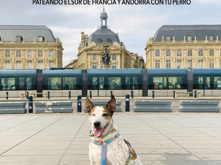 Dog Trip. Pateando El Sur De Francia Y Andorra Con Tu Perro
