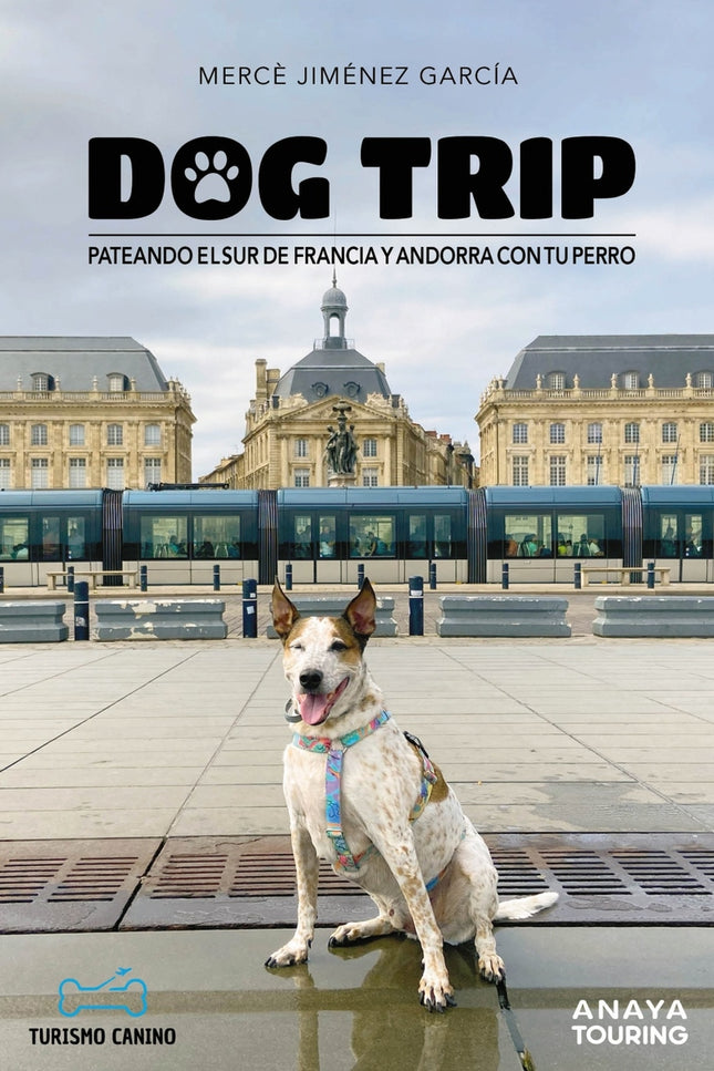 Dog Trip. Pateando El Sur De Francia Y Andorra Con Tu Perro