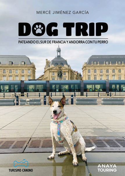 Dog Trip. Pateando El Sur De Francia Y Andorra Con Tu Perro