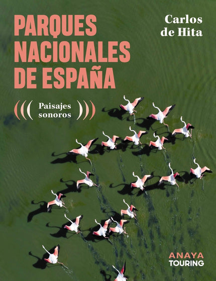 Collection image for: Política y protocolos medioambientales