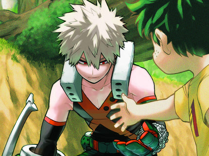 My Hero Academia Nº 29