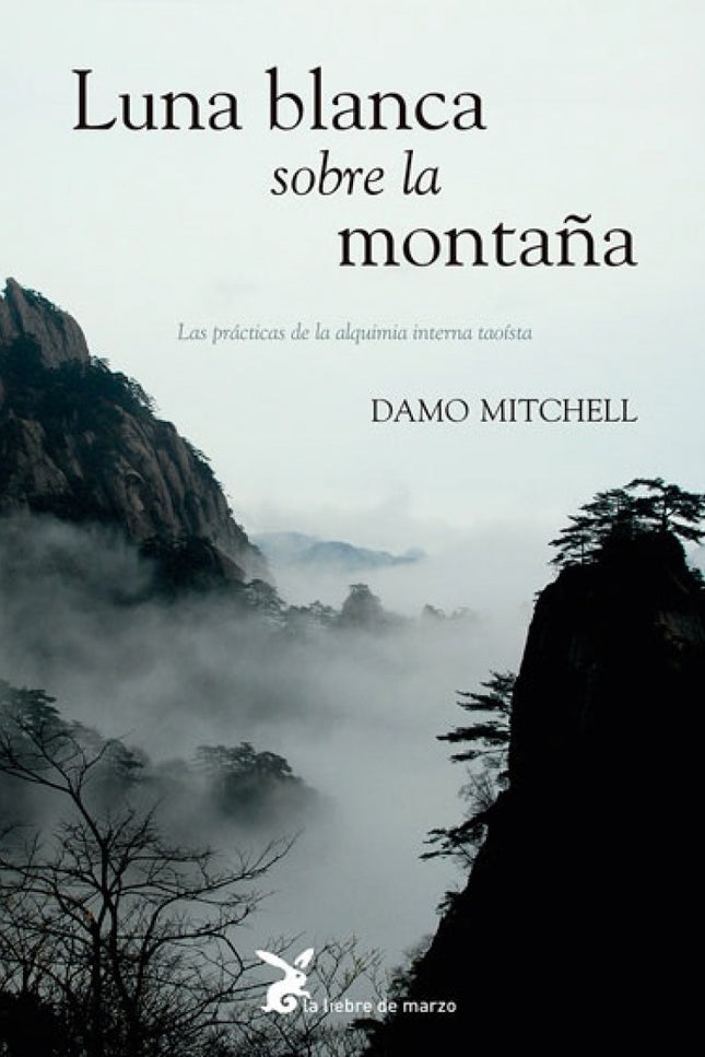 LUNA BLANCA SOBRE LA MONTAÑA - Damo Mitchell - OTRO FORMATO LIBRO