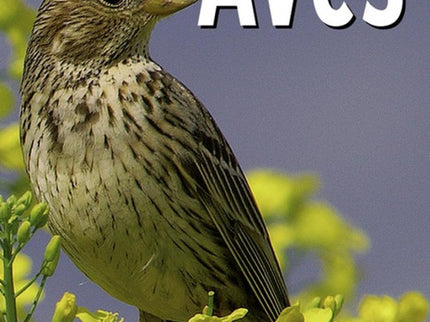 Libro Observar Las Aves: Completa guía de bolsillo, con detalladas ilustraciones, para aprender a reconocer las aves más