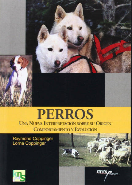 Libro Perros: En esta obra encontraremos una brillante actualización sobre el mundo de los perros, cuál es su origen, po
