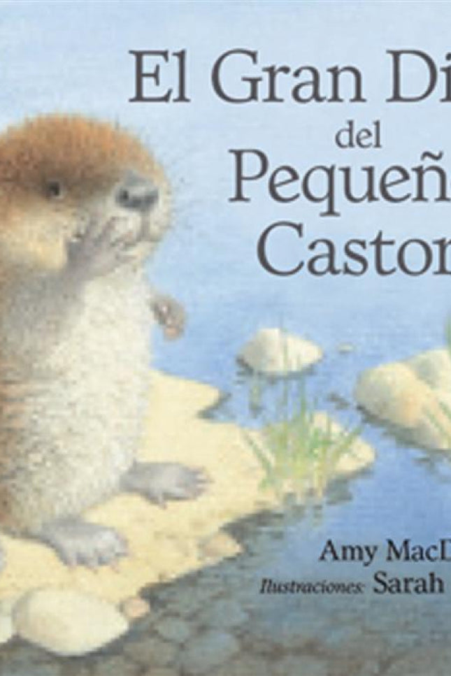 El Gran Diente Del Pequeño Castor