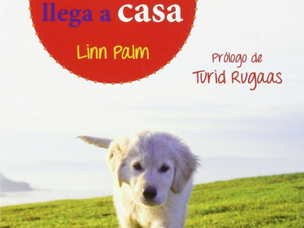 El Cachorro Llega A Casa