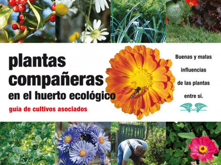 Plantas Compañeras Del Huerto