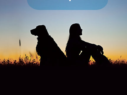 Libro La Comunicación Silenciosa De Los Perros: El tiempo de la empatía, el respeto y la responsabilidad ha llegado. Ros