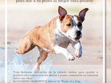 Perros Sueltos Y Libres