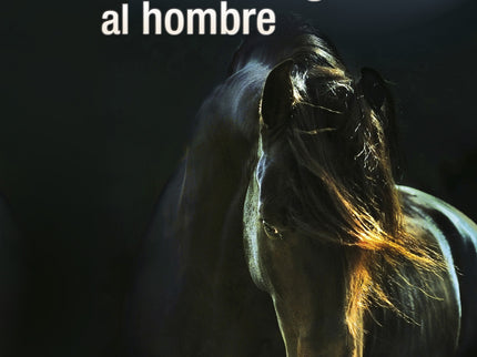Libro Cuando El Caballo Guia Al Hombre: Alex, un jinete de carreras de obstáculos de alto nivel, sufre una caída de su c