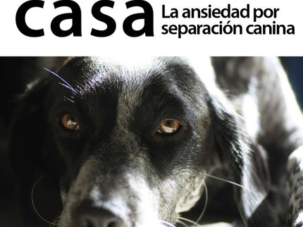 Libro Solo En Casa: James O¿Heare ha escrito esta obra con la intención de proporcionar a los lectores una base de traba