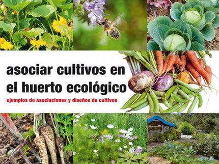 Asociar Cultivos En El Huerto Ecológico