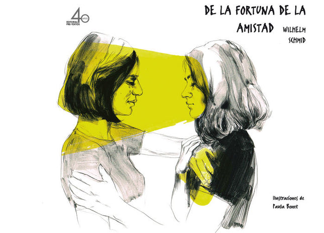 De la fortuna de la amistad - Wilhelm Schmid - Libro