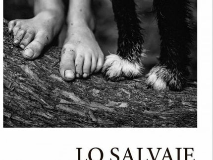 Libro Lo Salvaje: Tercer libro de poemas de Vega Cerezo, es como una de esas piedras deslumbrantes que buscábamos de niños en la tierra. Esas que algunas raras veces aparecían entre otras vulgares, apagadas, semejantes entre sí, piedras que no ofrecían ùa nuestros ojos necesitados de bellezaù ninguna forma, ninguna arista, ningún color ni textura memorables.