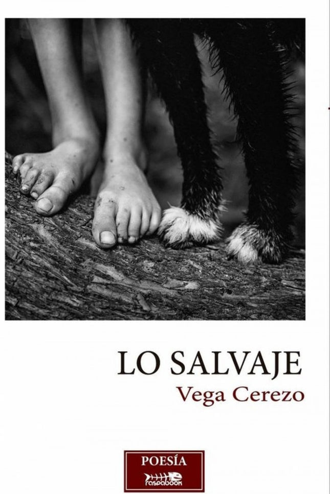 Libro Lo Salvaje: Tercer libro de poemas de Vega Cerezo, es como una de esas piedras deslumbrantes que buscábamos de niños en la tierra. Esas que algunas raras veces aparecían entre otras vulgares, apagadas, semejantes entre sí, piedras que no ofrecían ùa nuestros ojos necesitados de bellezaù ninguna forma, ninguna arista, ningún color ni textura memorables.