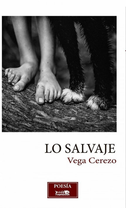 Libro Lo Salvaje: Tercer libro de poemas de Vega Cerezo, es como una de esas piedras deslumbrantes que buscábamos de niños en la tierra. Esas que algunas raras veces aparecían entre otras vulgares, apagadas, semejantes entre sí, piedras que no ofrecían ùa nuestros ojos necesitados de bellezaù ninguna forma, ninguna arista, ningún color ni textura memorables.
