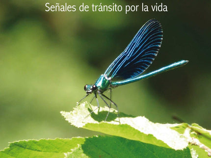 Libro Autobiosofía: .