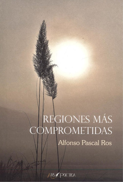 Libro Regiones Más Comprometidas: .