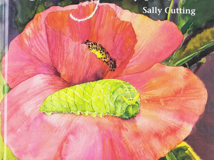 Libro La Oruga Verde: A PARTIR DE 5 AÑOS Transformarse para alzar el vuelo La pequeña oruga redondita y verde querría jugar con las mariposas, pero las mariposas están muy atareadas. Al final se queda sola.