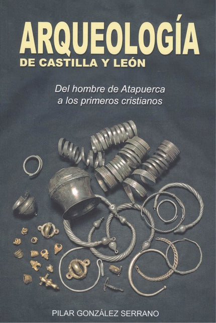 Portada del libro Arqueología De Castilla Y León