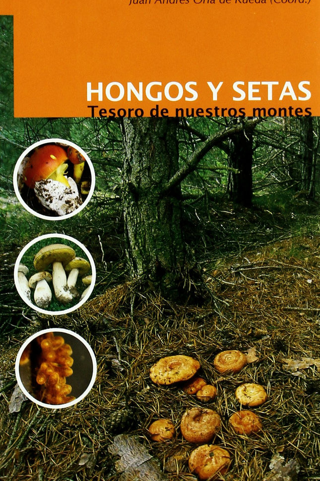 Hongos Y Setas: Tesoro De Nuestros Montes