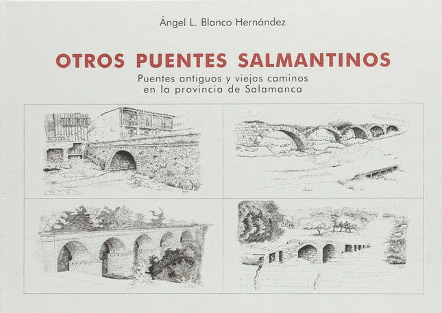 Libro Otros Puentes Salmantinos: .
