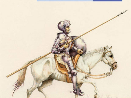 Libro Don Quijote De La Mancha (calcetín): «En un lugar de la Mancha de cuyo nombre no quiero acordarme, vivía no hace m