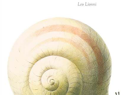 Libro La Casa Más Grande Del Mundo: .