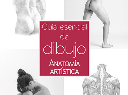 Guía Esencial Del Dibujo Anatomía Artística