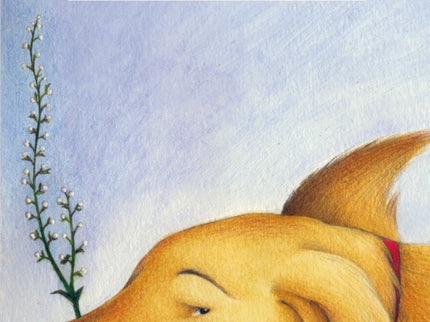 Libro Aquest Gos Es Tot Un Jardiner: .