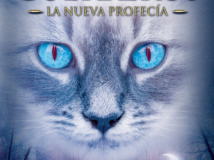 Libro Claro De Luna: Han pasado varias lunas desde que los cuatro clanes enviaron una expedición para averiguar signific