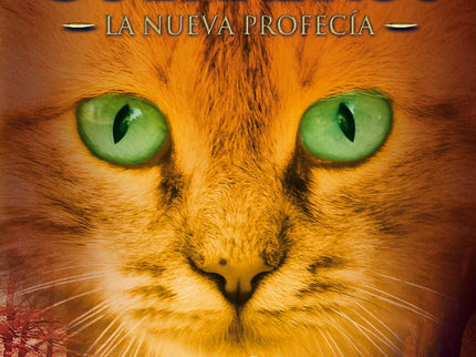 Libro Aurora: Los jóvenes gatos que partieron en una misión varias lunas atrás han regresado con un mensaje alarmante: l