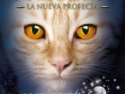 Luz Estelar