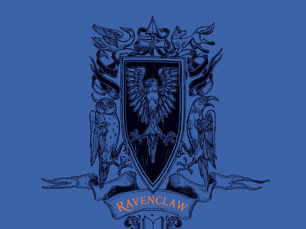 Ravebclaw Harry Potter Y La Piedra Filosofal