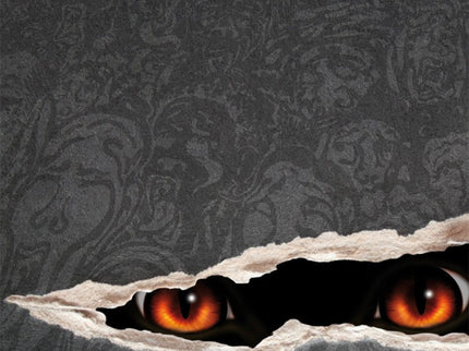 Libro Frontera Negra, La: Una persona enterrada viva, un joven desaparecido misteriosamente, una falsa sesión de espirit