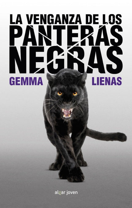 Libro La Venganza De Los Panteras Negras: Óscar es un adolescente sin horizonte. Sus únicas ilusiones son su hermana peq