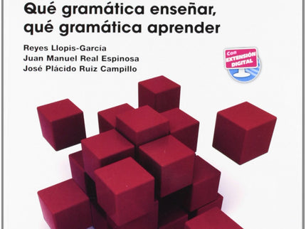 Libro Que Gramatica Enseñar,que Gramatica Aprender: .