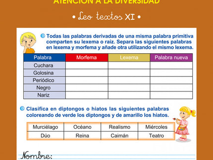 Libro Lecturas Comprensivas 17: .