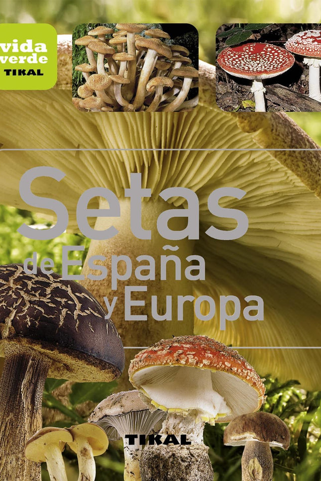 Libro Setas De España Y Europa: Conozca las principales especias de setas, boletos y cantarelas que puede descubrir en s