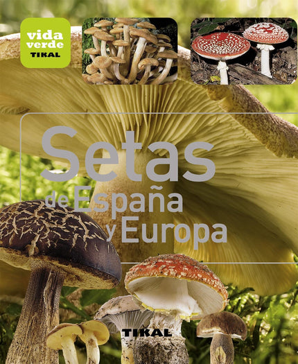 Libro Setas De España Y Europa: Conozca las principales especias de setas, boletos y cantarelas que puede descubrir en s