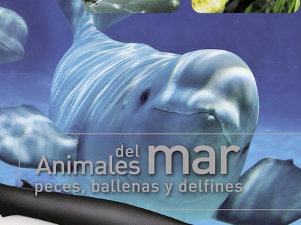 Libro Animales Del Mar, Peces, Ballenas Y Delfines: Esta guía ilustrada le permitirá realizar un apasionante paseo por e