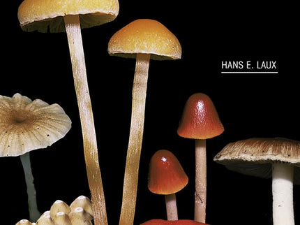 Libro Setas De España Y Europa: Más de 1. 200 especies y casi 1. 200 fotografías en color. Esta imprescindible obra de r