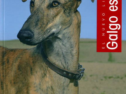 Libro Galgo Español: Guía completa para cualquier amante del galgo español. En ella encontrará toda la información actua