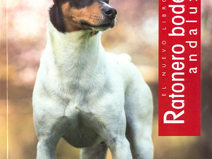 Ratonero Bodeguero Andaluz